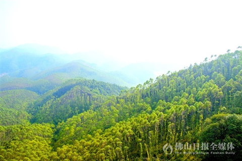 鸡笼山上空俯瞰云勇林场连绵的群　山。/佛山日报见习记者吕润致摄