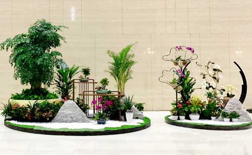 大堂绿化美陈(图1)
