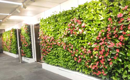 绿植墙设计(图1)
