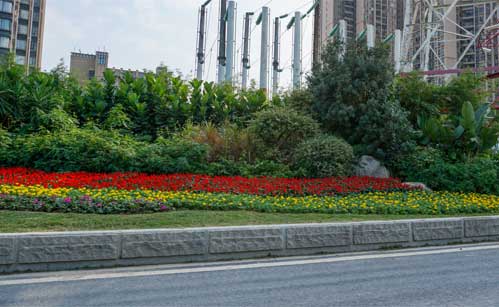 市政道路绿化养护(图1)