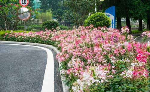 珠光云山壹号花境设计(图1)