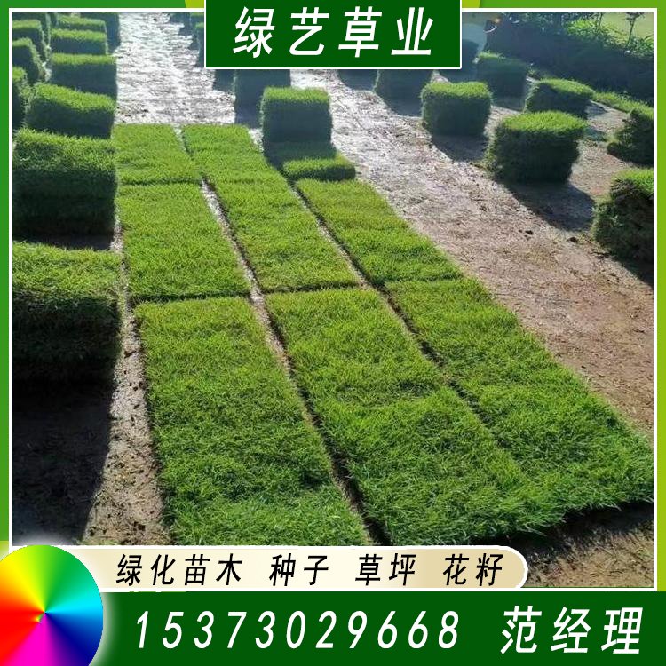 兰引三号草皮 足球运动场草卷 大量批量供应结缕兰引三号草约3.98元,约3.88元,约3.68元(图5)