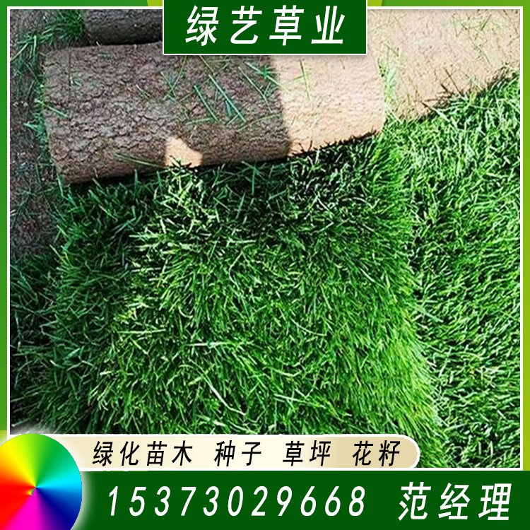 兰引三号草皮 足球运动场草卷 大量批量供应结缕兰引三号草约3.98元,约3.88元,约3.68元(图8)