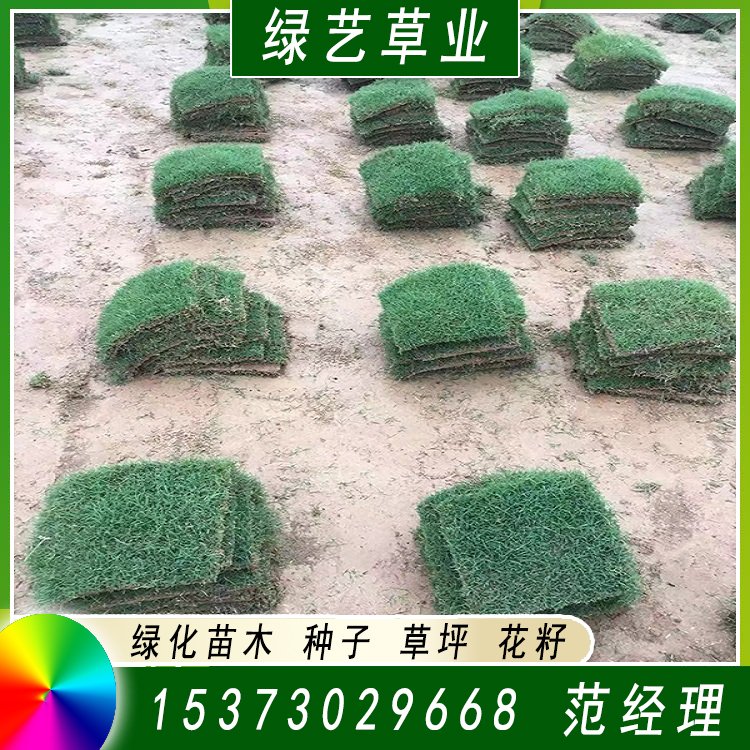 兰引三号草皮 足球运动场草卷 大量批量供应结缕兰引三号草约3.98元,约3.88元,约3.68元(图10)