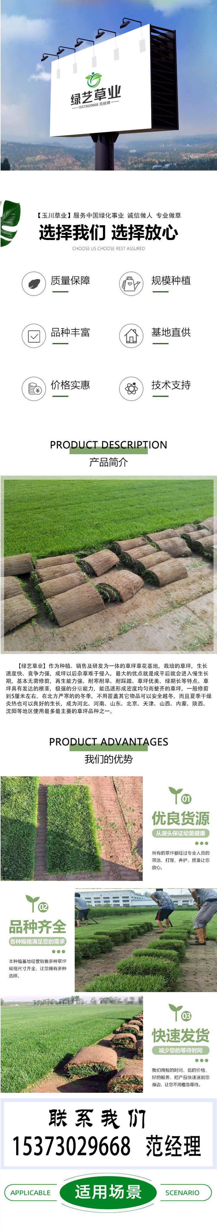 兰引三号草皮 足球运动场草卷 大量批量供应结缕兰引三号草约3.98元,约3.88元,约3.68元(图12)