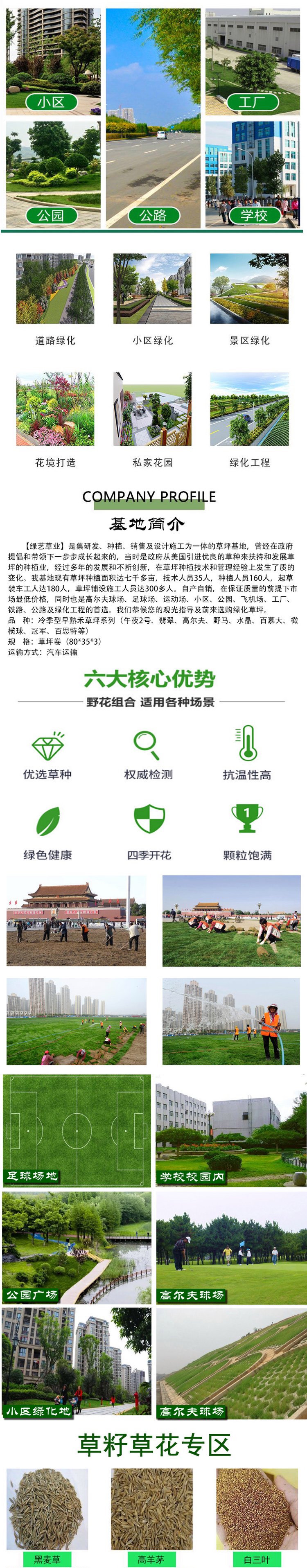 兰引三号草皮 足球运动场草卷 大量批量供应结缕兰引三号草约3.98元,约3.88元,约3.68元(图13)