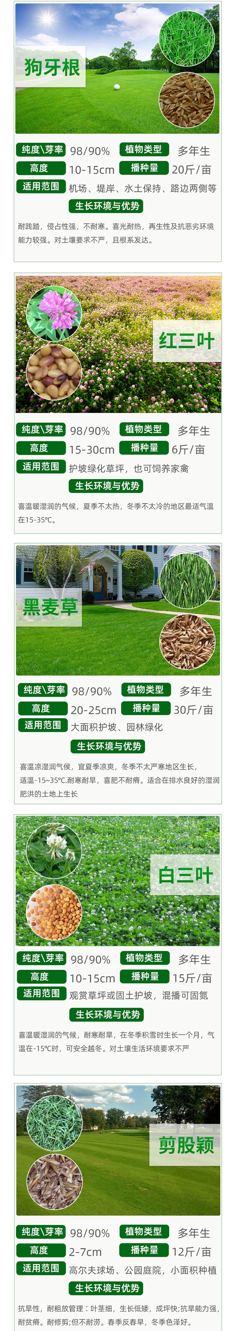 兰引三号草皮 足球运动场草卷 大量批量供应结缕兰引三号草约3.98元,约3.88元,约3.68元(图17)