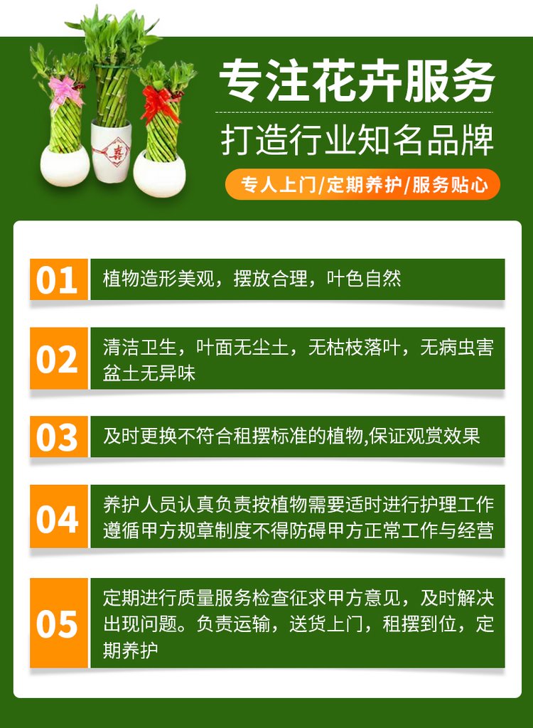 绿植花卉 办公室绿植 绿植租赁 可定制 服务贴心约20.00元(图12)