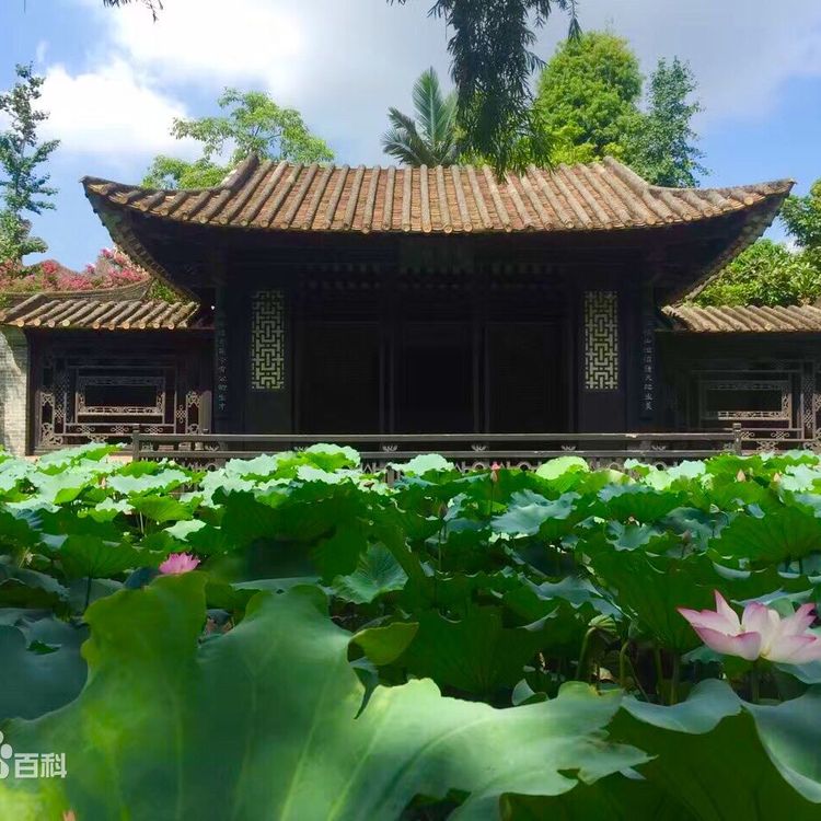园林工程 商场植物墙花园专家约2.00万元(5) 园林工程 商场植物墙花园专家约2.00万元(5)