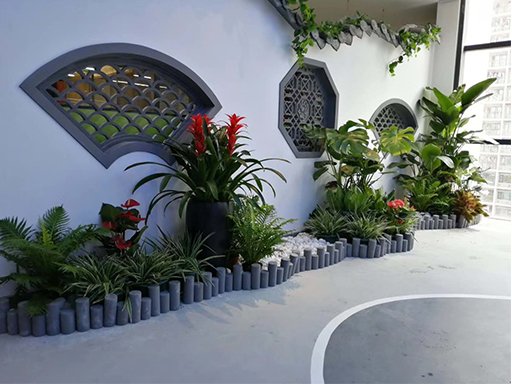 园林工程 商场植物墙花园专家约2.00万元(3) 园林工程 商场植物墙花园专家约2.00万元(3)