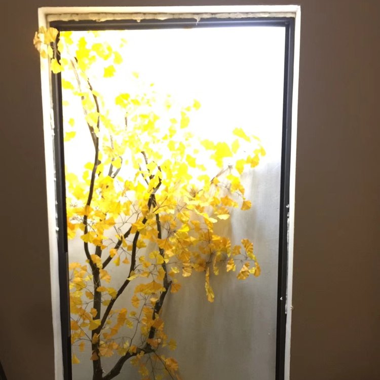 园林工程 商场植物墙花园专家约2.00万元(6) 园林工程 商场植物墙花园专家约2.00万元(6)