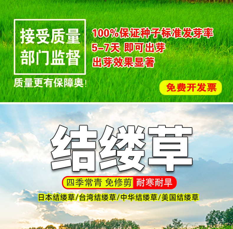 足球场天然草坪 养护方案