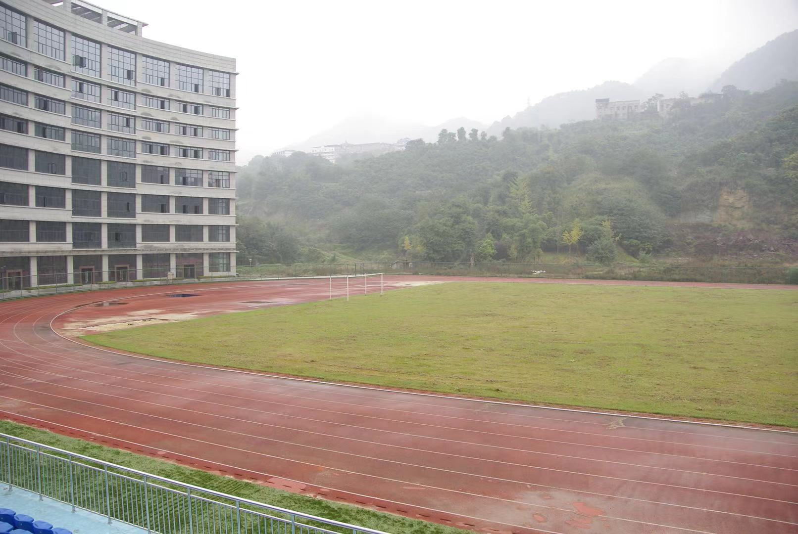 江南体育中心体育训练场天然草足球场