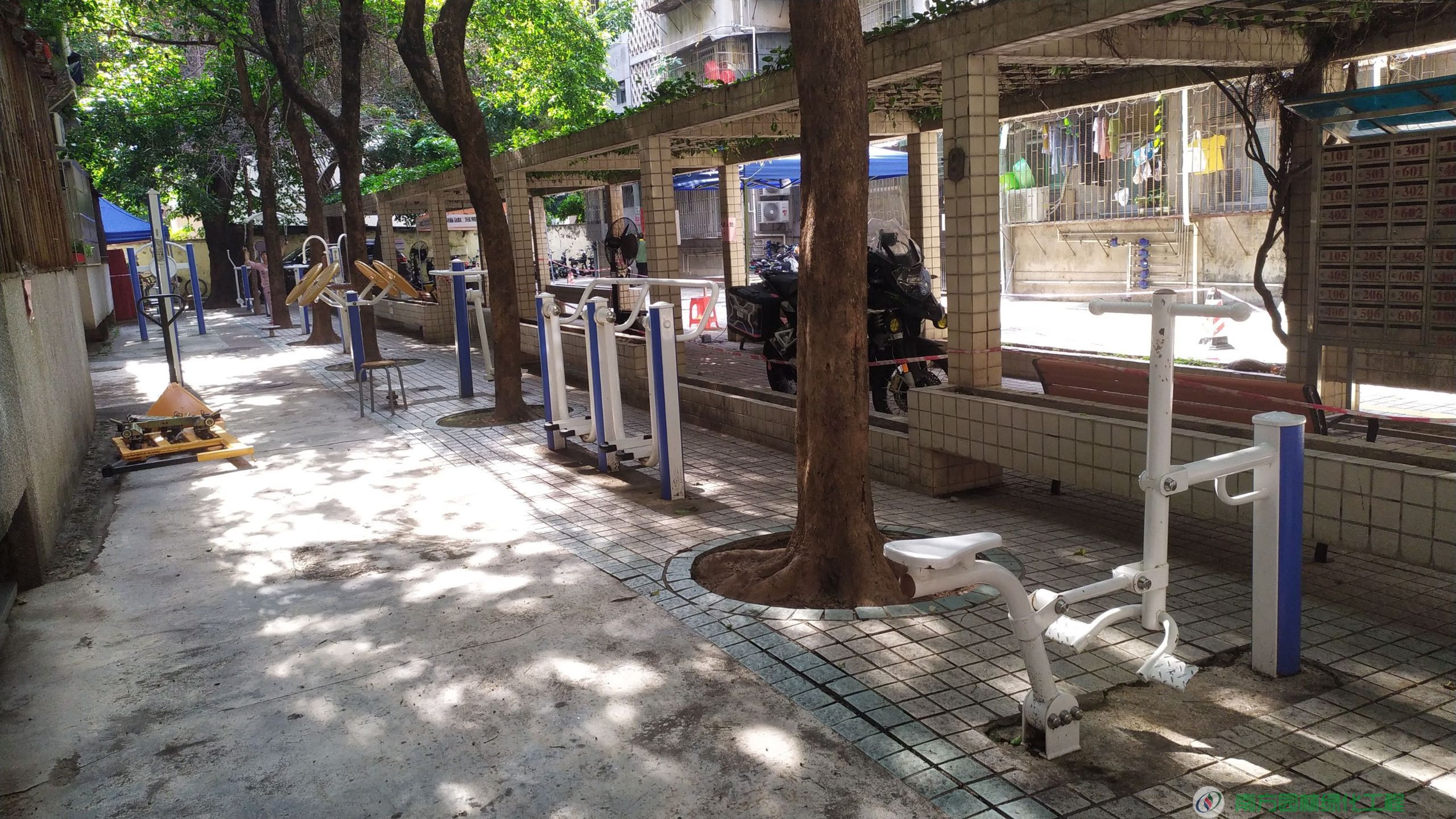 深圳深圳市福田区南园街道南园社区居委会赛格苑住宅小区4栋园林绿化与养护