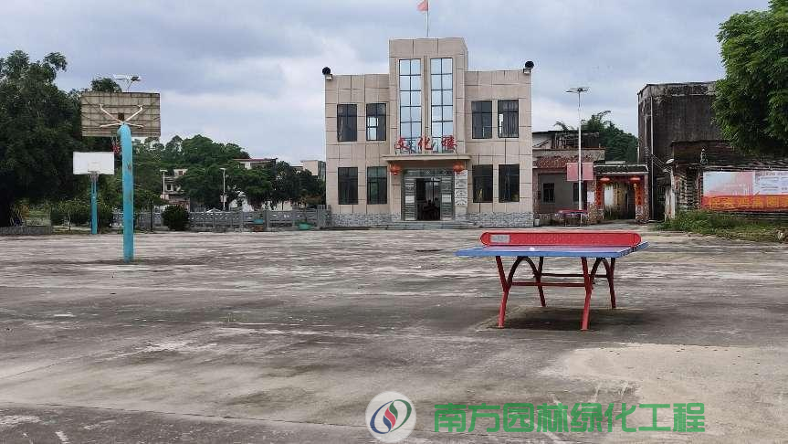 广东省阳江市阳东区大八镇良爱村委会良爱村篮球场园林绿化与养护